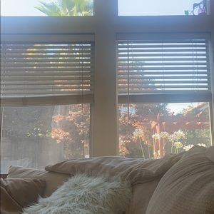 Meet your Posher, Benjamin